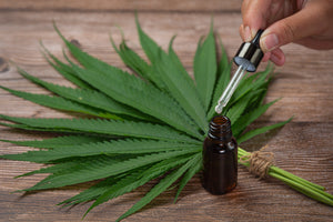 Understanding THC vs. CBD: What's the Difference?
