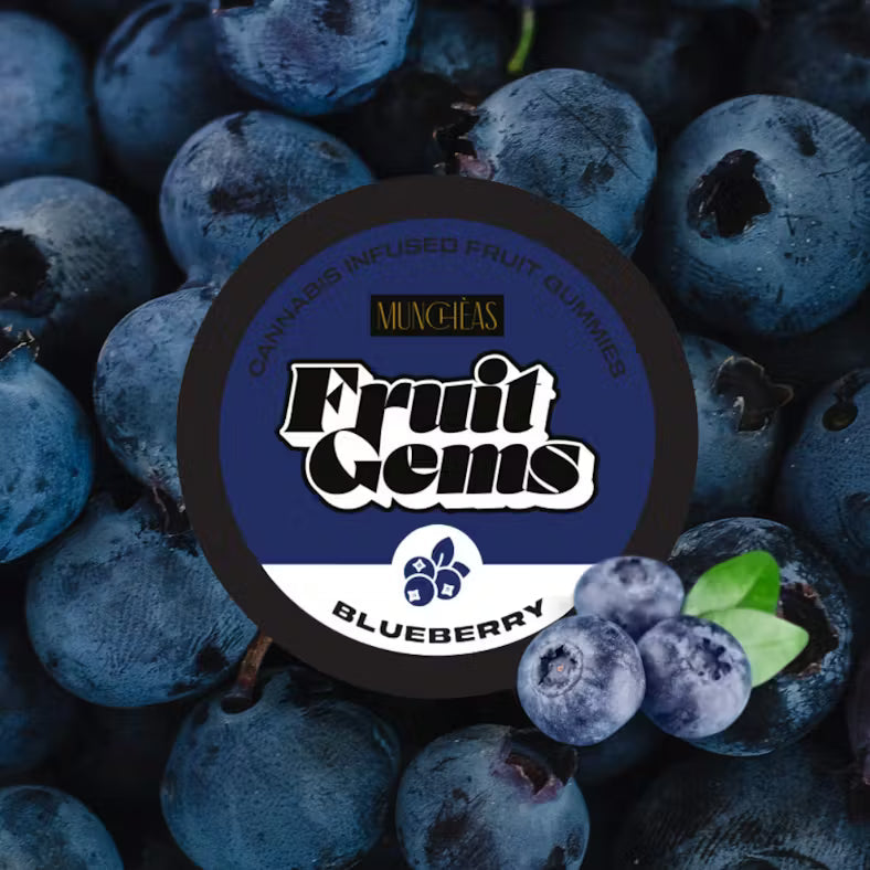 Blueberry Fruit Gems | 100mg